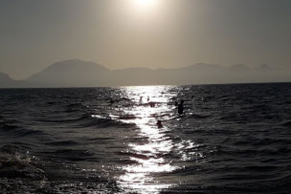 tramonto-mareE34069F4-D26E-9214-E61E-0DFAE143DAD9.jpg
